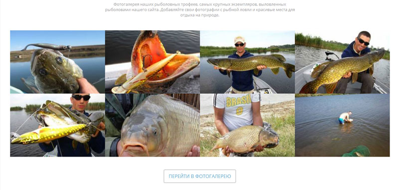Реклама на сайте www.fishlovlya.ru