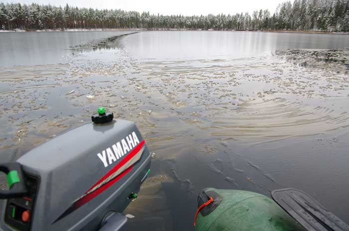 Рыбалка зимой на хищника в Южной Карелии. Фото 3