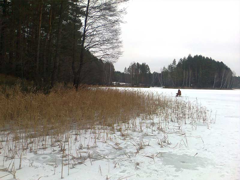 Красноярское водохранилище. Залив Щучий. Ф.1