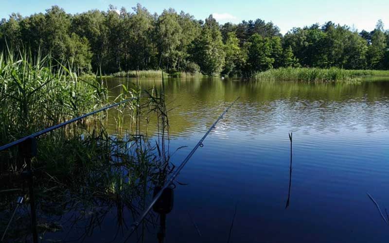 Рыбалка была сложной, но уловистой! Фото 6