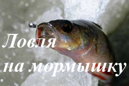 Ловля на мормышку зимой