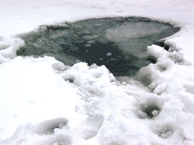  Чебоксарское водохранилище, Республика Марий Эл