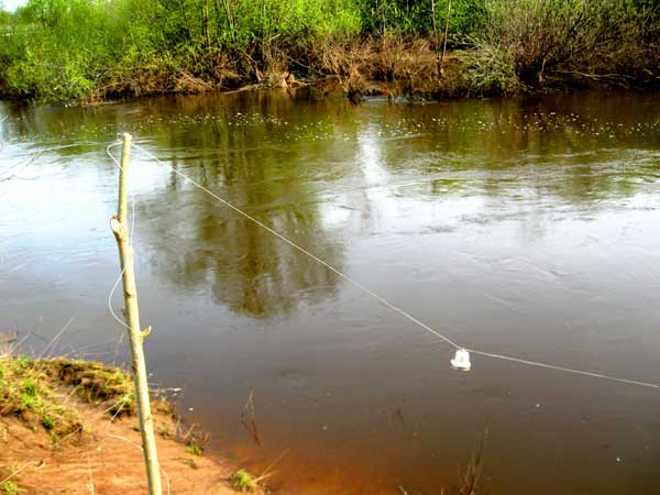 Рыбалка на реке Рутка