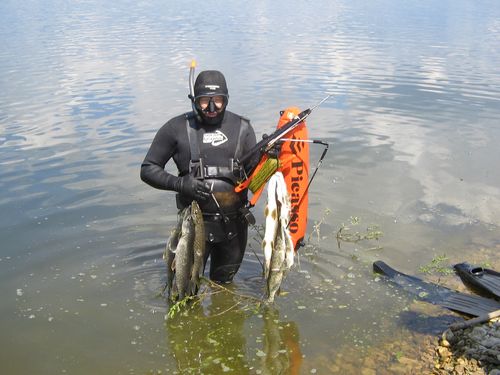 На подводной охоте